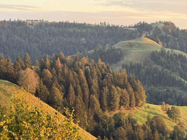 Alpzyt-2026-Ahorn-4